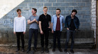 Wild Cub. Wild Cub.