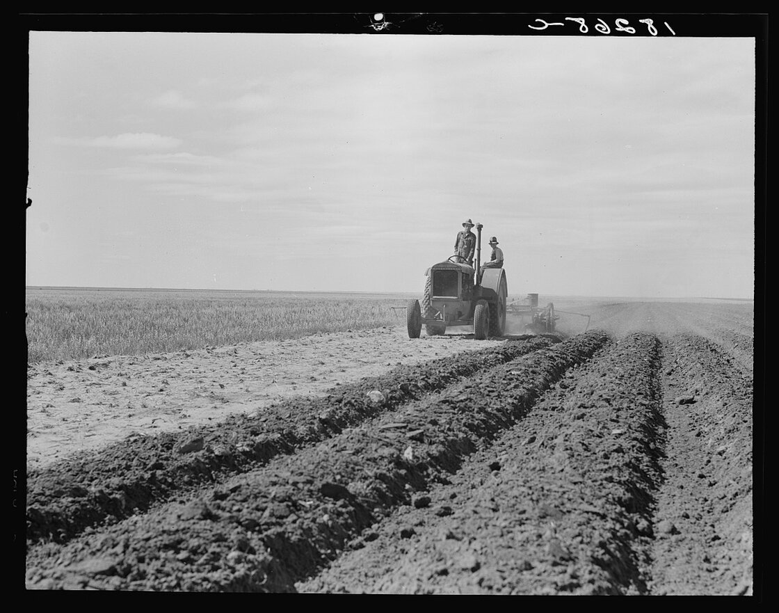 Dust Bowl farmer drives a tractor with his son near Cland, N.M. (1938) Steinbeck writes: "The tractors came over the roads and into the fields, great crawlers moving like insects, having the incredible strength of insects ... monsters raising the dust and sticking their snouts into it, straight down the country ... through fences, through dooryards, in and out of gullies in straight lines ..."