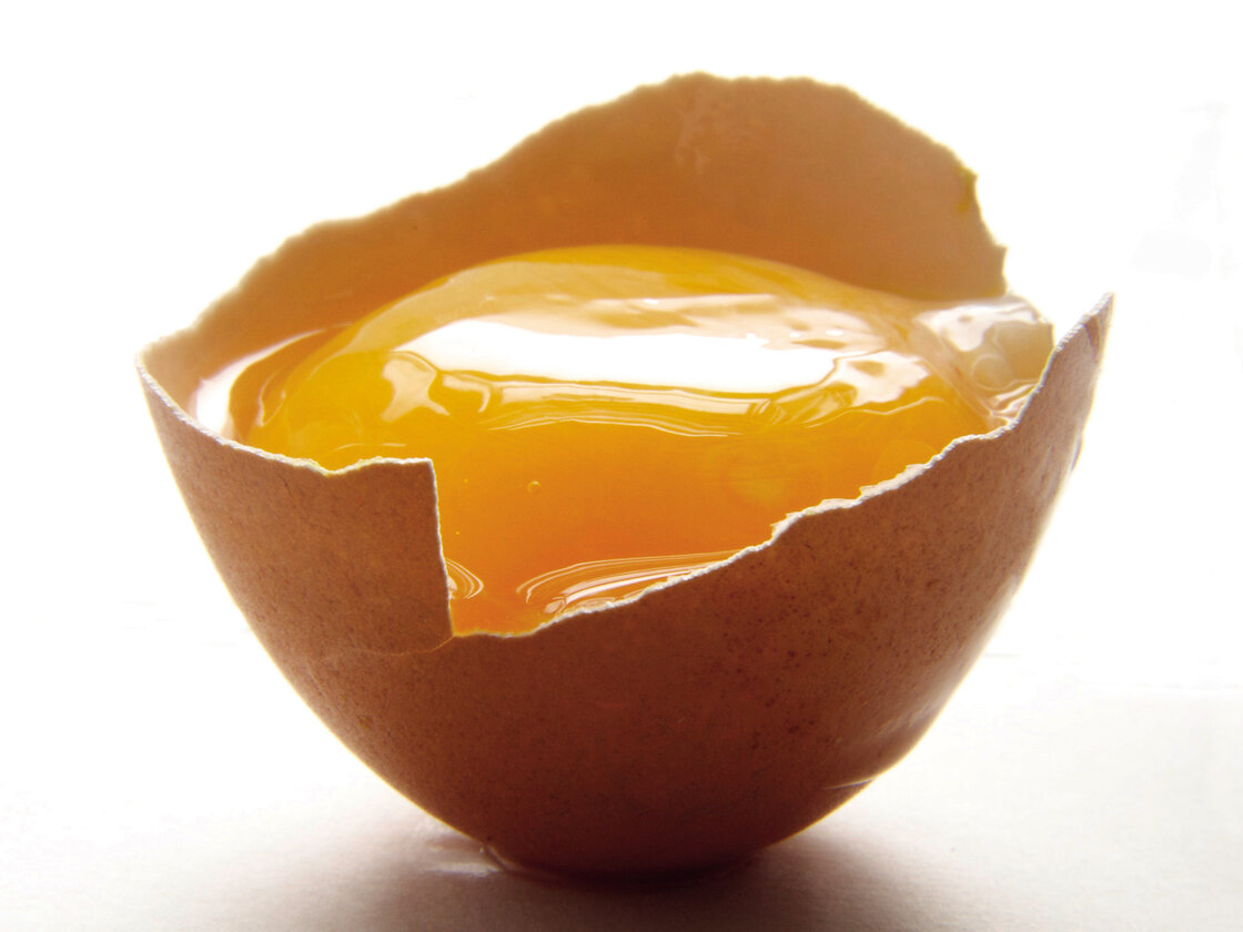 "The egg is a lens through which to view the entire craft of cooking," says food writer Michael Ruhlman.