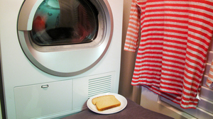 No dryer sheets were used in this experiment, so at least the toast didn't have a floral flavor.