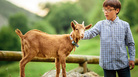 Animals are fun to pet. They also make great guest appearances in music. Animals are fun to pet. They also make great guest appearances in music.