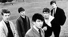 The Animals. The Animals.