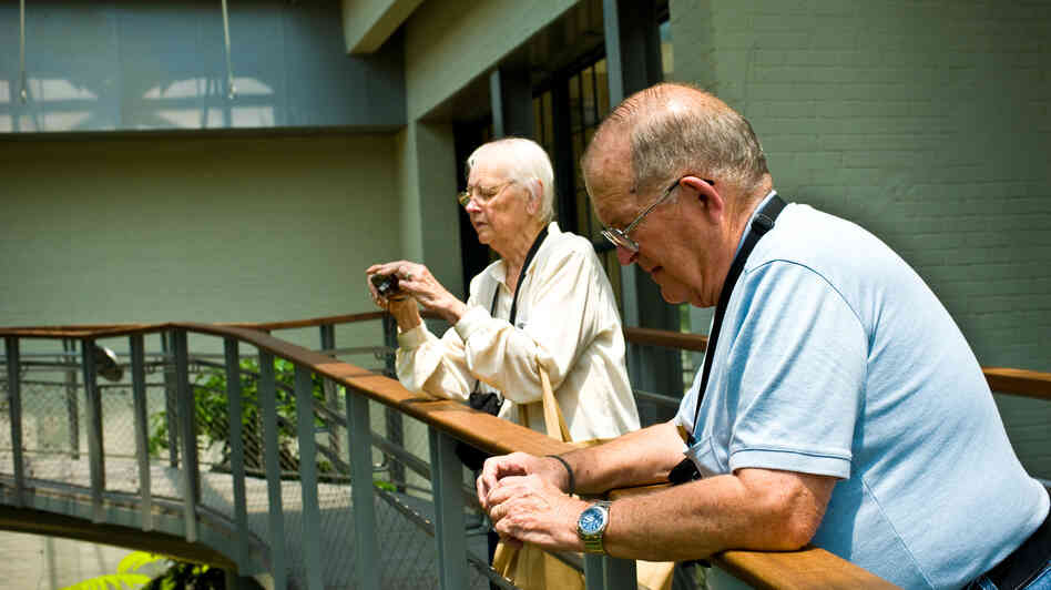Seniors who learned more difficult skills like digital photography and Photoshop showed the greatest improvement in memory. Seniors who learned more difficult skills like digital photography and Photoshop showed the greatest improvement in memory.