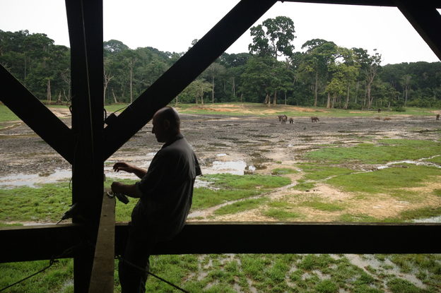 Kalron and his team have set up video cameras that transmit real-time images of the bai via satellite. (Image credit: Courtesy of Maisha Consulting)