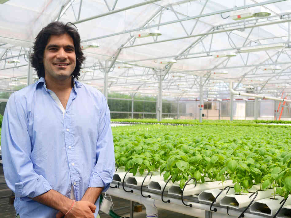 Gotham Greens CEO Viraj Puri says the company's rooftop produce is competitive because it's extra-fresh. Gotham Greens CEO Viraj Puri says the company's rooftop produce is competitive because it's extra-fresh.
