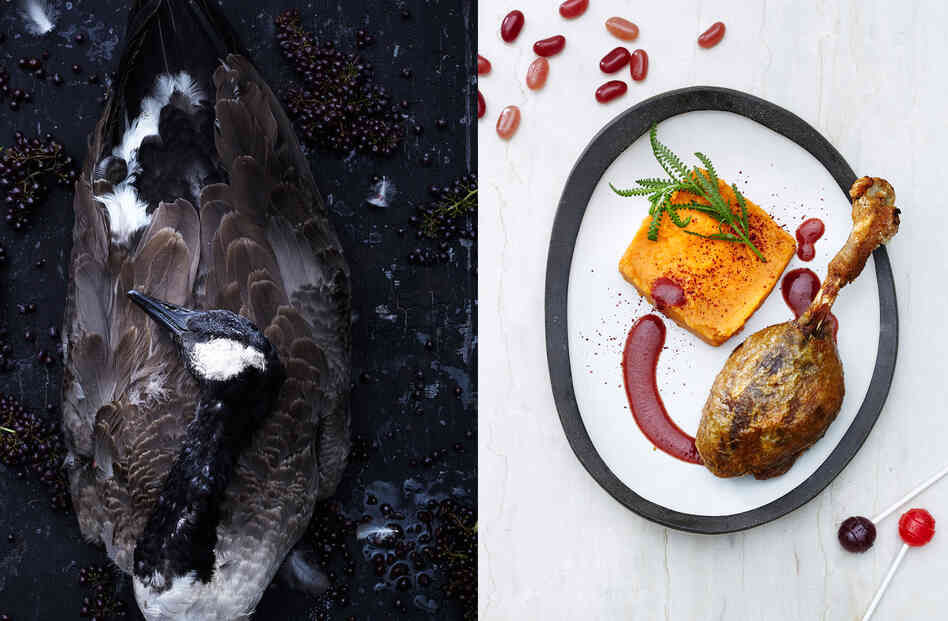 Left, Canada goose. Right, goose leg confit with autumnberry sauce and sweet potato mash. Left, Canada goose. Right, goose leg confit with autumnberry sauce and sweet potato mash.