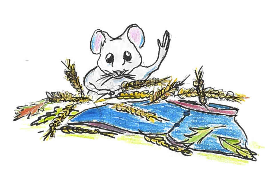 Mouse emerging from wheat. Mouse emerging from wheat.