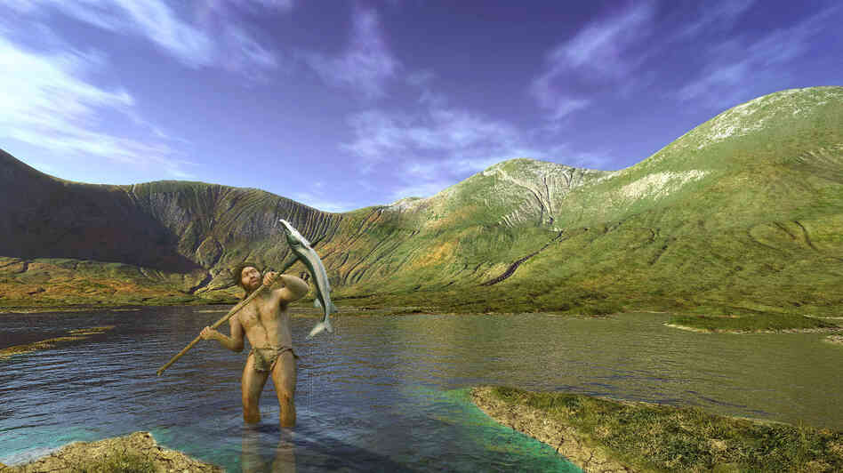 Our popular image of Homo erectus as the proto-guy who whose human-like traits all emerged at once needs overhauling, some anthropologists say. Our popular image of Homo erectus as the proto-guy who whose human-like traits all emerged at once needs overhauling, some anthropologists say.