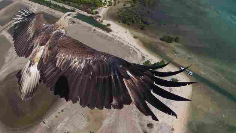 Fly Like An Eagle: Site Picks The Best Aerial Drone Photos Fly Like An Eagle: Site Picks The Best Aerial Drone Photos
