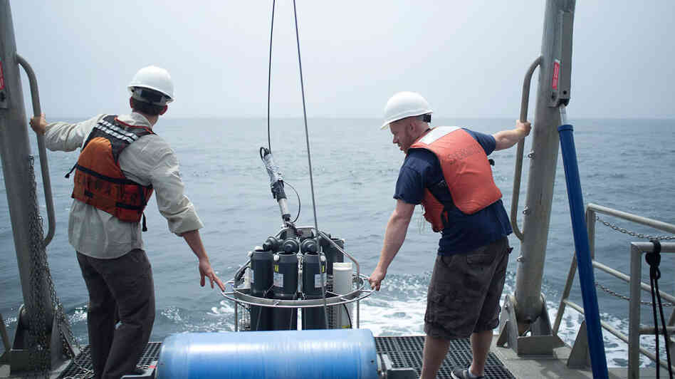 UC Santa Barbara's Jay Lunden and Andrew Brinkman, a summer intern for NOAA, prepare to deploy an instrument that measures temperature and salinity throughout the water column, and collects water samples. UC Santa Barbara's Jay Lunden and Andrew Brinkman, a summer intern for NOAA, prepare to deploy an instrument that measures temperature and salinity throughout the water column, and collects water samples.