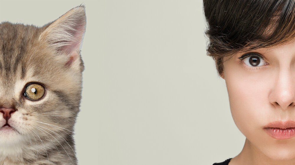 What can animals teach us about ourselves?