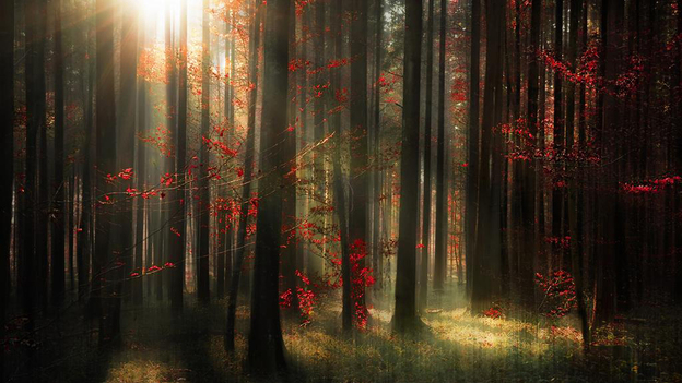 Author Lily Hyde adds a dash of magic to her children's stories about Eastern Europe. (Image credit: Corbis)