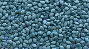 Mountains of "little blue pills" and their chemical kin have transformed the way many people think about sex and aging.