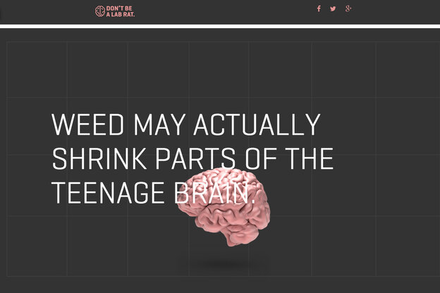 Colorado's "don't be a lab rat" attack tries to accomplish the point that we don't apperceive what marijuana does to the boyish brain.