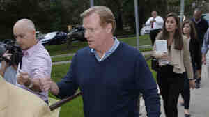 Roger Goodell, the NFL's commissioner, met last week with the National Domestic Violence Hotline. But several black women's organizations said the groups the league is working with to craft its plan to combat domestic violence don't have footholds in black communities — an oversight for a league that is mostly black.