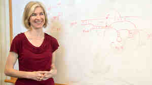 Jennifer Doudna and her colleagues found an enzyme in bacteria that makes editing DNA in animal cells much easier.