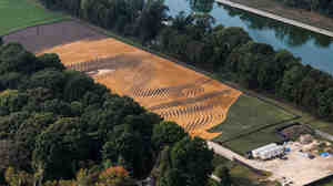 The face in Jorge RodrÃÂ­guez-Gerada's larger-than-life portrait is a composite of photos the artist took of young men from many racial backgrounds.