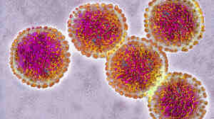 Avian influenza, or bird flu, causes an infectious and contagious respiratory disease. In the lab, several scientists have made the H5N1 strain more contagious, a controversial line of research.