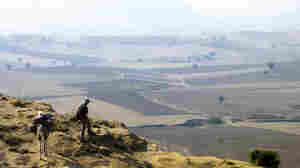 Down to the oldest plowed fields in the world, the Cilician Plain of southeastern Turkey.
