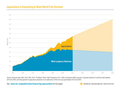 Aquaculture will have to more than double by 2050 to meet the demand for seafood.