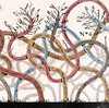 Think of human relationships as entanglements. How do they bind you; how do they reveal who you really are?