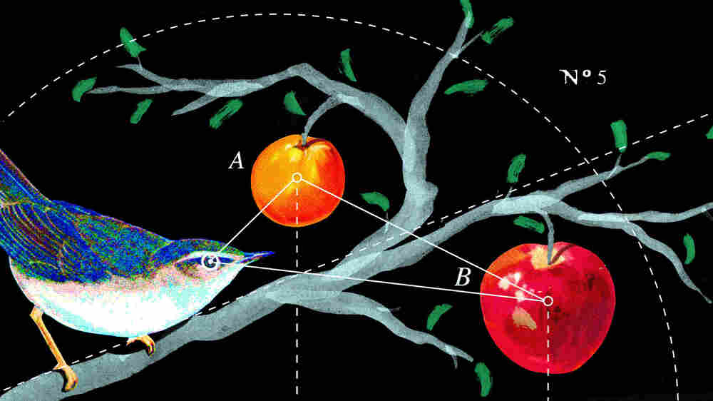 Invisibilia Episode #5 "The Power Of Categories"