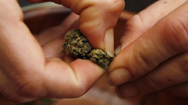 A user prepares to roll a marijuana cigarette on the first day of legal possession of marijuana for recreational purposes in the District of Colombia on Thursday. (AP)