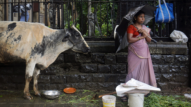 A streetside vendor stands on the pavement next to her cow as it rains in Mumbai, India. (Reuters /Landov)