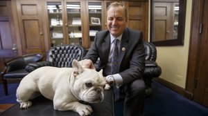Rep. Jeff Denham, R-Calif., gives some attention to Lily, his 15-pound French bulldog, Feb. 15 in his office on Capitol Hill in Washington. Lily once was rejected by Amtrak, but the House passed a measure Wednesday that would let her ride with her owner.