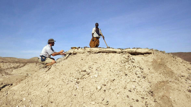 With the help of researcher Sabudo Boraru (right), anthropologist Chris Campisano, of Arizona State University, takes samples from the fossil-filled Ledi-Geraru project area in Ethiopia. The jaw bone was found nearby. (Courtesy of J Ramón Arrowsmith)