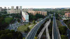 On the outskirts of Rome is a mile-long stretch of unfinished elevated track for a tramline.  Work stopped in the mid-1990s. Under the guidance of Renzo Piano, architects are turning it into an elevated park.