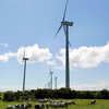 Renewable energy sources — such as the Eolo wind park about 75 miles south of the Nicaraguan capital, Managua — generate about half of the country's electricity. Officials predict that figure could rise to 80 percent within years.