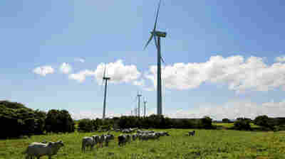 Renewable energy sources — such as the Eolo wind park about 75 miles south of the Nicaraguan capital, Managua — generate about half of the country's electricity. Officials predict that figure could rise to 80 percent within years.