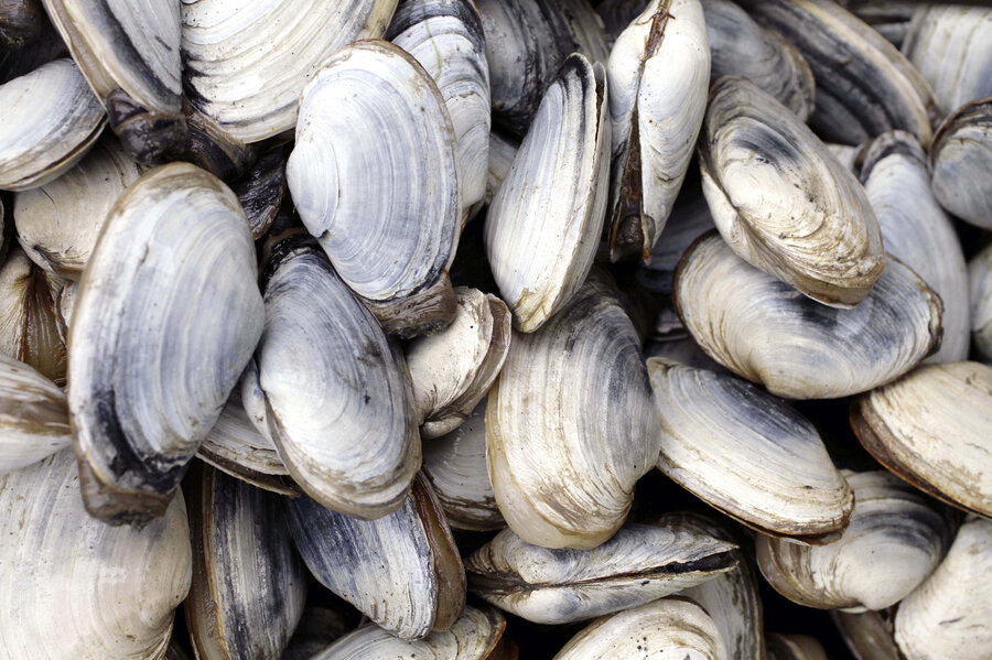 Reddit Dive into anything