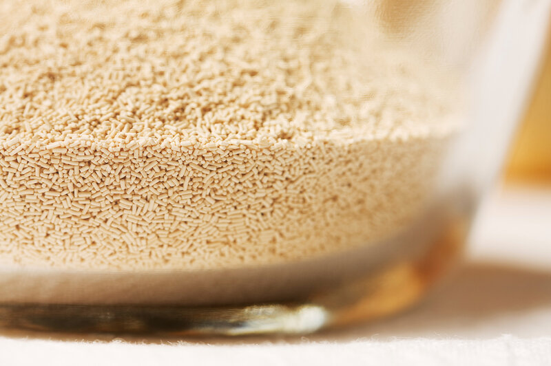 This fungus among us — baker's yeast, aka Saccharomyces cerevisiae — is useful for more than just making bread. This fungus among us — baker's yeast, aka Saccharomyces cerevisiae — is useful for more than just making bread.