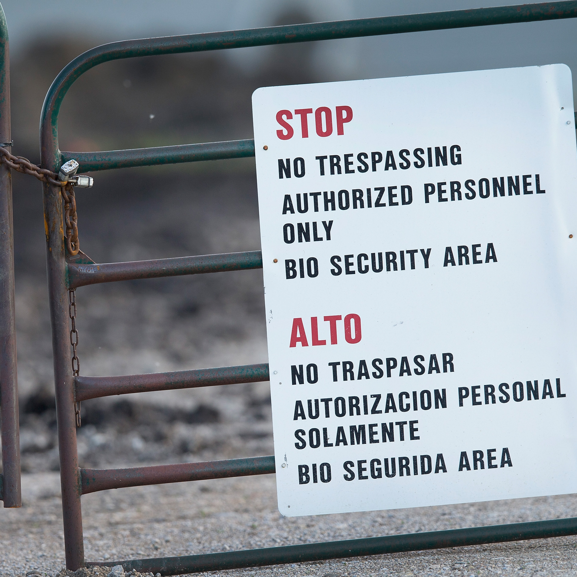 A gate blocks the entrance of a farm operated by Daybreak Foods, on May 17, 2015 near Eagle Grove, Iowa. The facility was reportedly struck by the current outbreak of bird flu. Secretary of Agriculture Tom Vilsick says biosecurity measures are crucial to containing the spread of the disease, which has only infected birds, not humans.