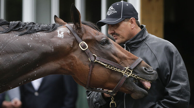 Kentucky Derby and Preakness Stakes winner American Pharoah plays with hot walker Juan Ramirez during a bath Friday at Belmont Park.