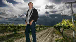 Raisin outlaw, Marvin Horne stands in a field of grapevines next to his home.