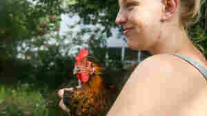 Ioanna Mattke holds Raven, one of six hens that her family owns. The Mattkes have raised Raven since she was a day old.
