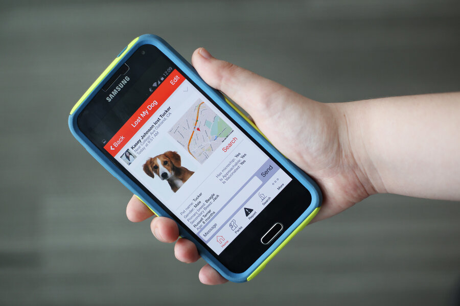 Canine microchip