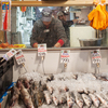 Sea bass, pollock, striped bass and other fish species are seen for sale at the Harbor Fish Market in Portland, Maine.