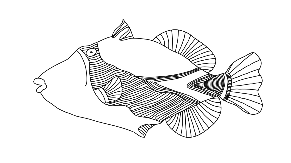 Similiar Hawaiian Trigger Fish Coloring Page Keywords