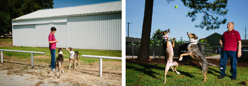 Cloning a canine requires that other dogs — donors and surrogates — undergo surgery. But the results are worth it, say the Duponts, playing here with Ken and Henry outside the couple's veterinary clinic in Louisiana. Cloning a canine requires that other dogs — donors and surrogates — undergo surgery. But the results are worth it, say the Duponts, playing here with Ken and Henry outside the couple's veterinary clinic in Louisiana.