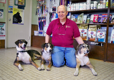 Phillip Dupont says losing his original dog Melvin (far right) was very hard, but Ken (far left) and Henry — two clones made from Melvin's skin cells — have helped a lot with the grief. The dogs' slightly different markings reflect differing environmental influences. Phillip Dupont says losing his original dog Melvin (far right) was very hard, but Ken (far left) and Henry — two clones made from Melvin's skin cells — have helped a lot with the grief. The dogs' slightly different markings reflect differing environmental influences.