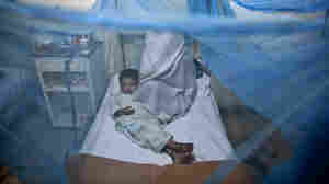 A child suffering from dengue fever lies in a bed in the isolation ward of a Rawalpindi, Pakistan, hospital in November 2013. There is no treatment for dengue, whose symptoms include fever, severe joint pain, headaches and bleeding.