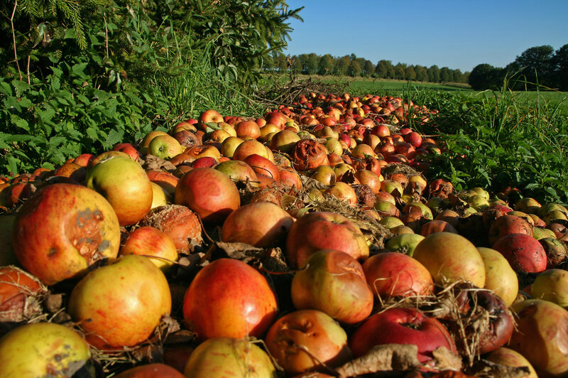 The government's first ever national target to reduce food waste will encourage farmers to donate more of their imperfect produce to the hungry.