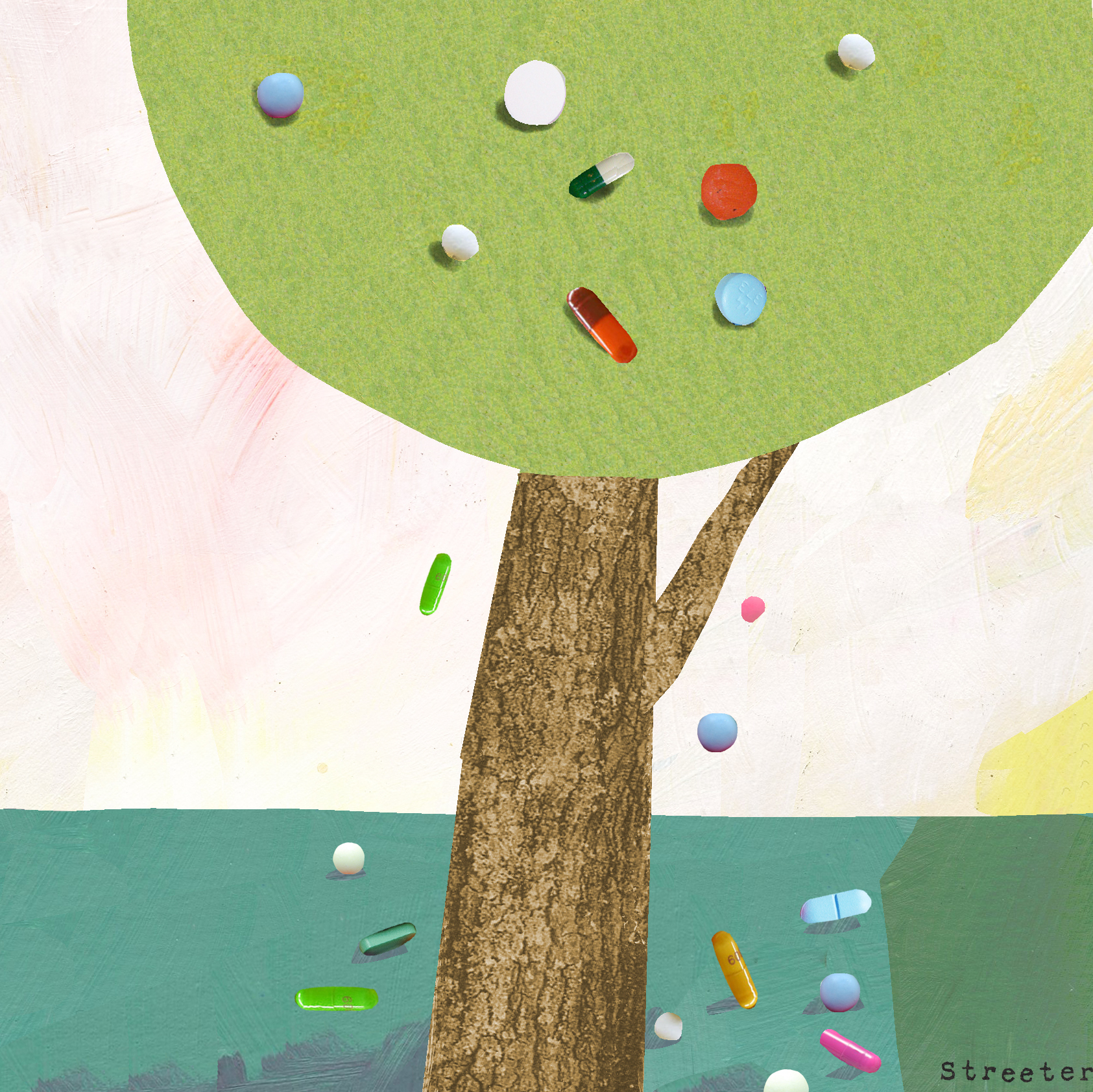 Katherine Streeter for NPR