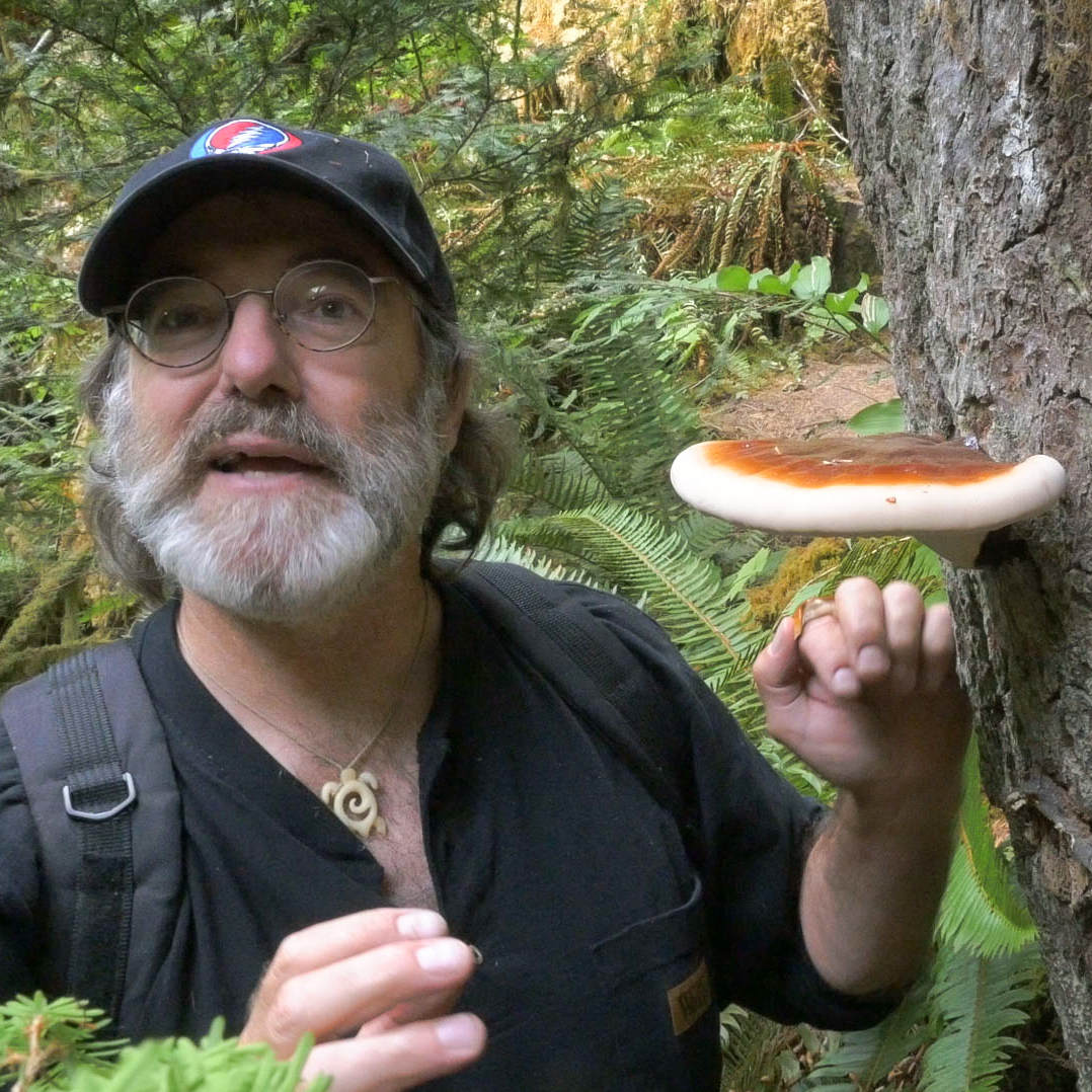 mushroom expert Paul Stamets.