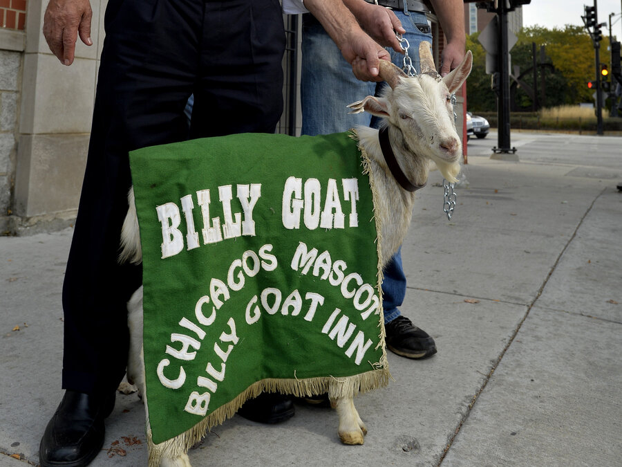 Billy Goat Tavern owners pose with "Billy" the goat outside the tavern on Oct. 20. (Paul Beaty/AP) Billy Goat Tavern owners pose with "Billy" the goat outside the tavern on Oct. 20. (Paul Beaty/AP)