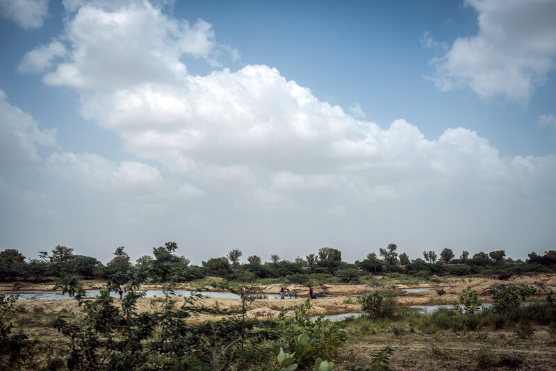 It's a 90-minute drive through scrubby, desert plains from the city of Jodhpur to Nimmu's village.